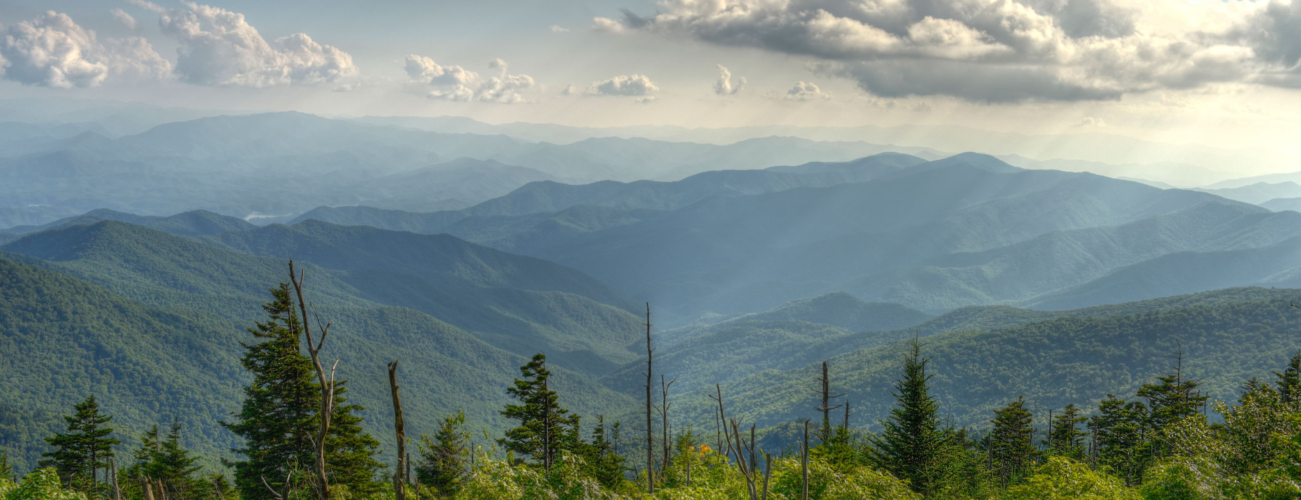 Amaryllis Ebénistes Créateurs