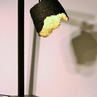 Image d'illustration luminaire